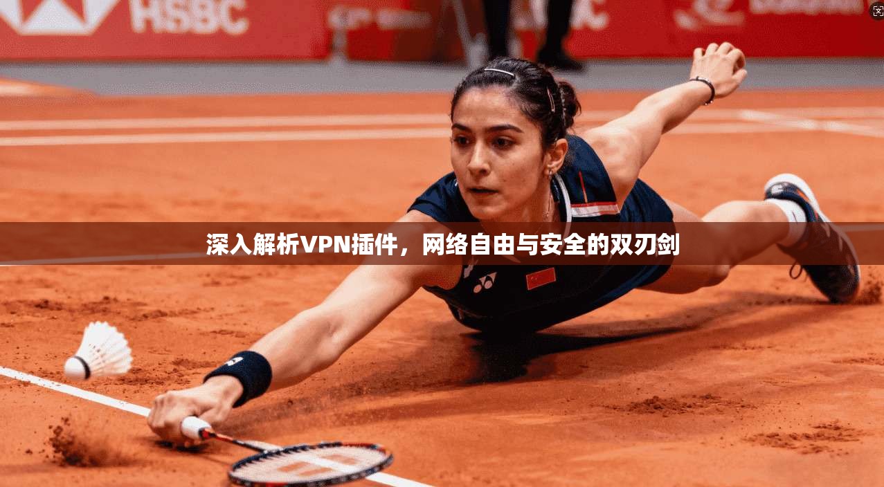 深入解析VPN插件，网络自由与安全的双刃剑