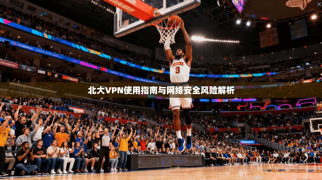 北大VPN使用指南与网络安全风险解析
