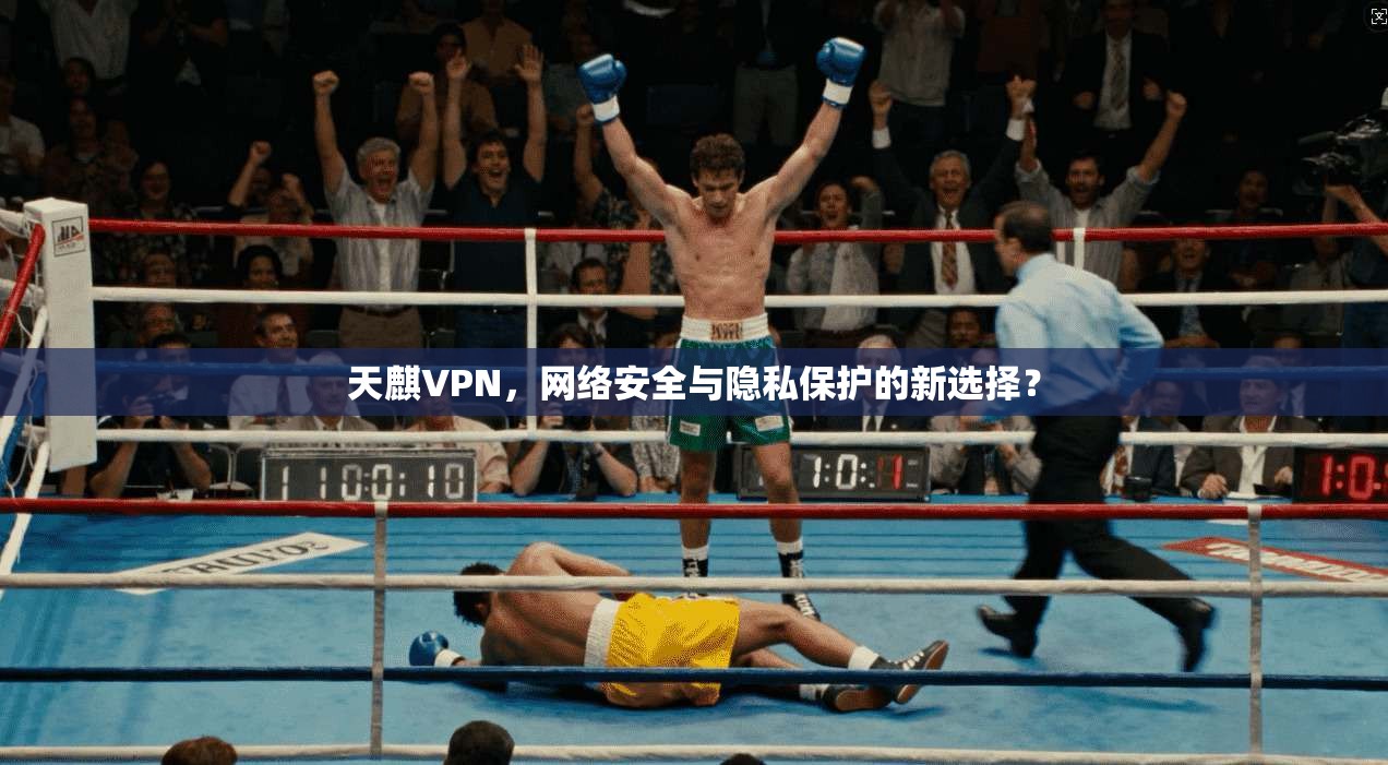 天麒VPN，网络安全与隐私保护的新选择？
