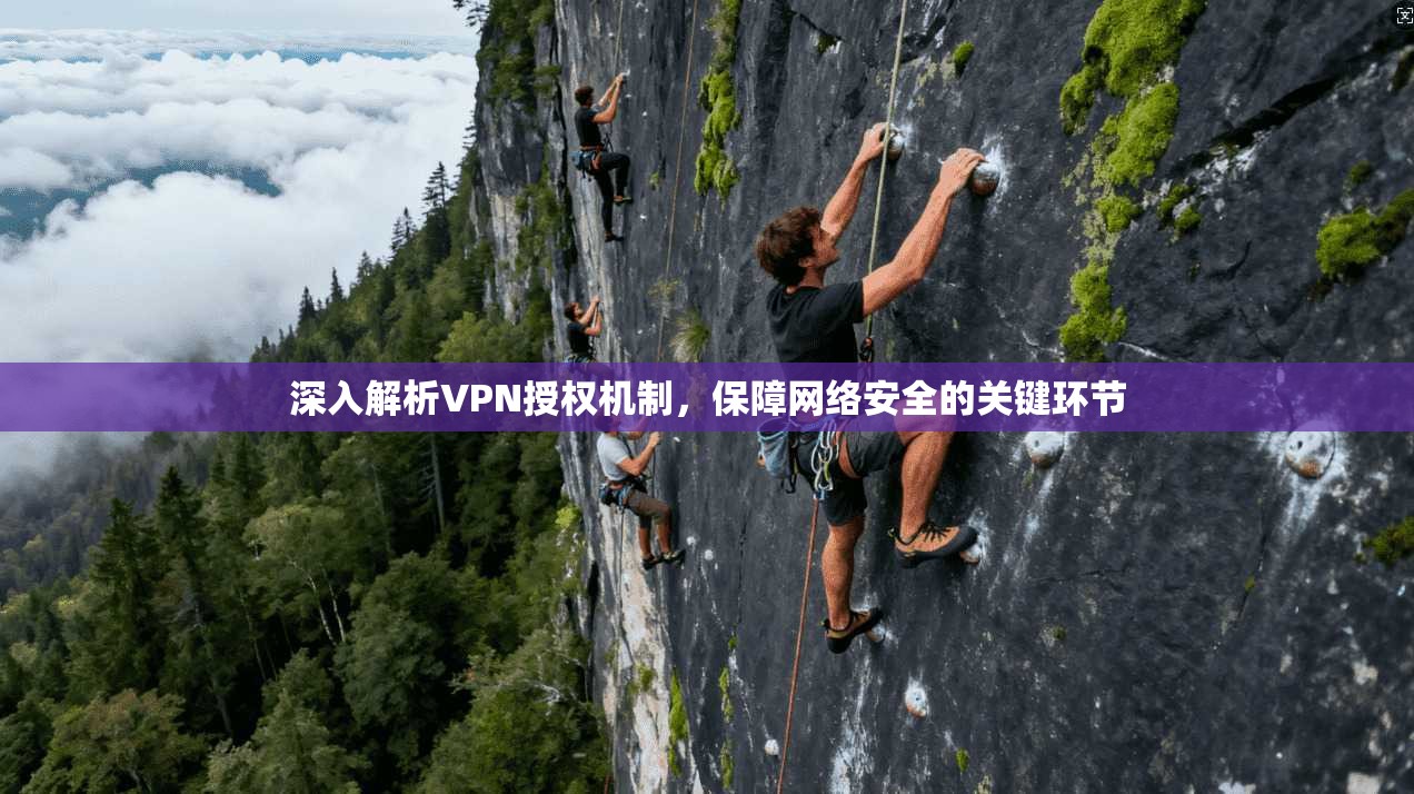 深入解析VPN授权机制，保障网络安全的关键环节