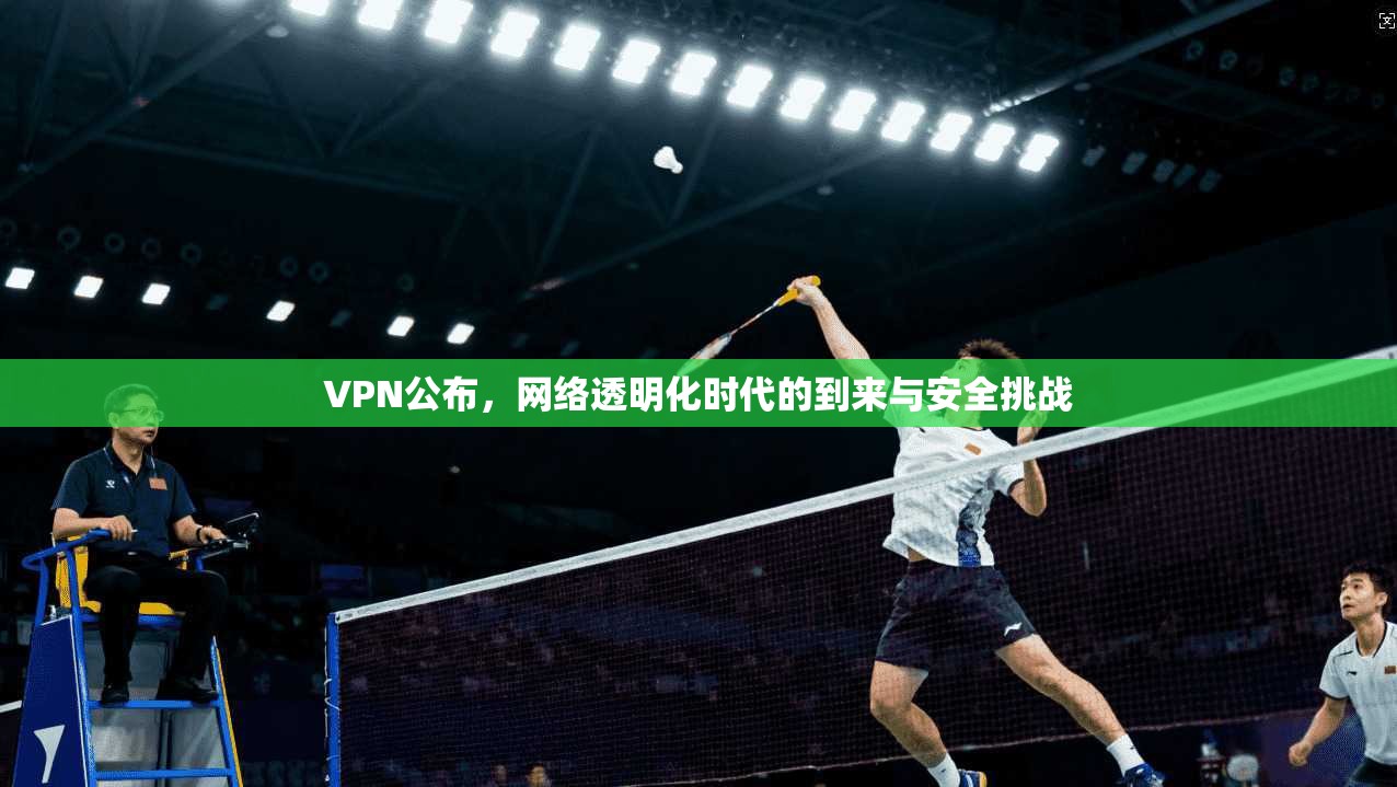 VPN公布，网络透明化时代的到来与安全挑战