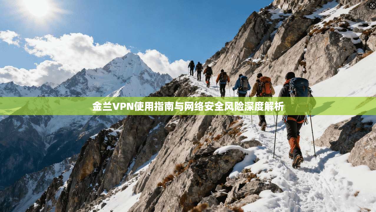 金兰VPN使用指南与网络安全风险深度解析