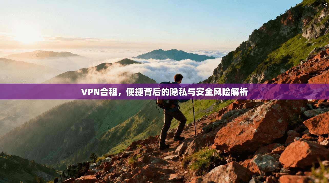 VPN合租，便捷背后的隐私与安全风险解析