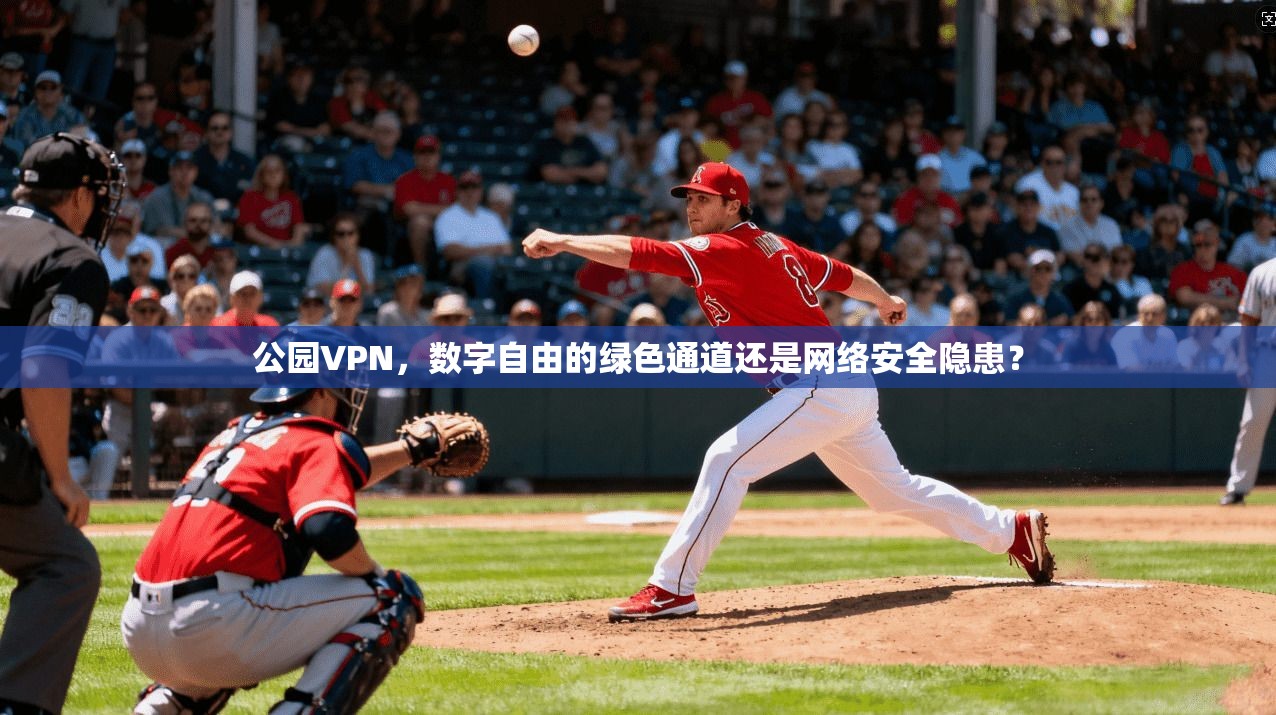 公园VPN，数字自由的绿色通道还是网络安全隐患？