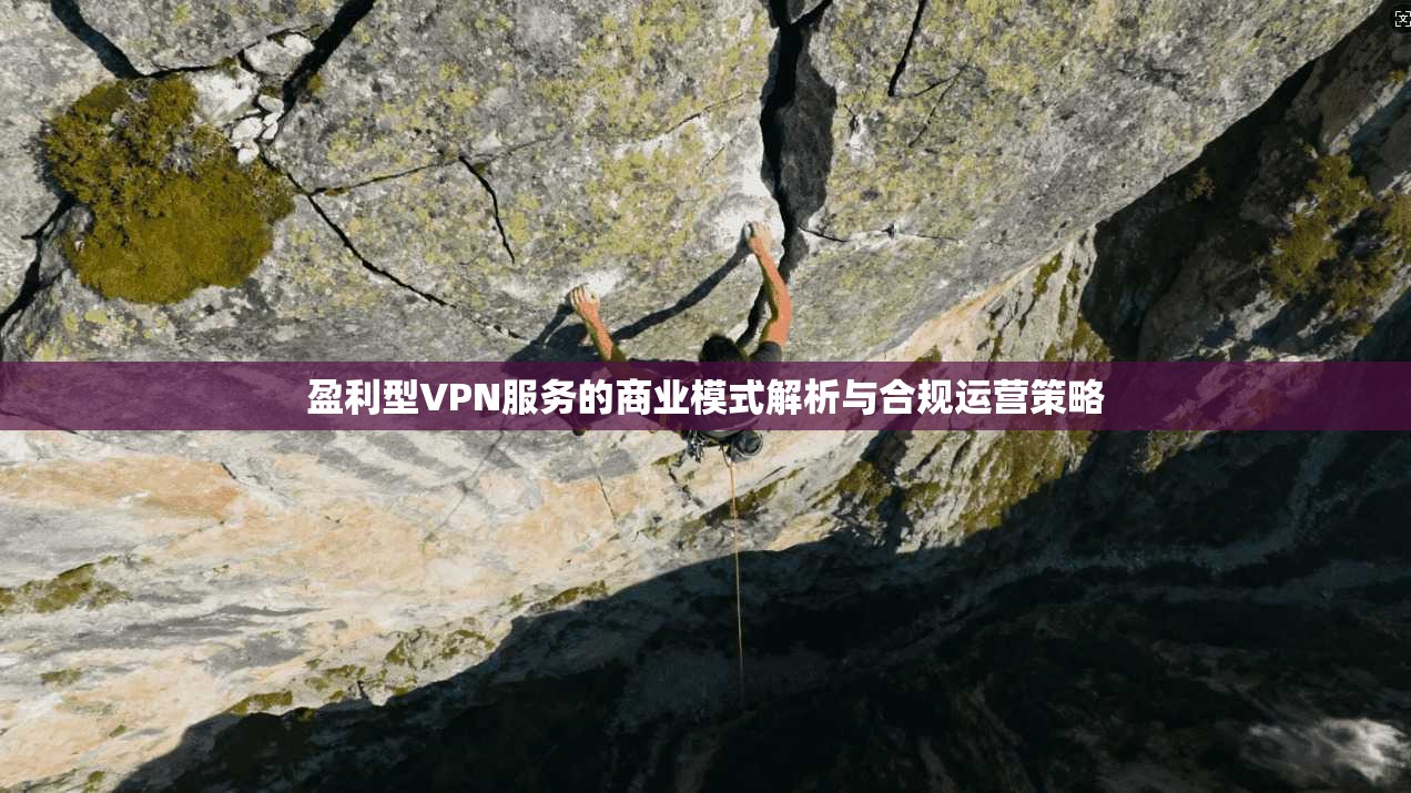盈利型VPN服务的商业模式解析与合规运营策略