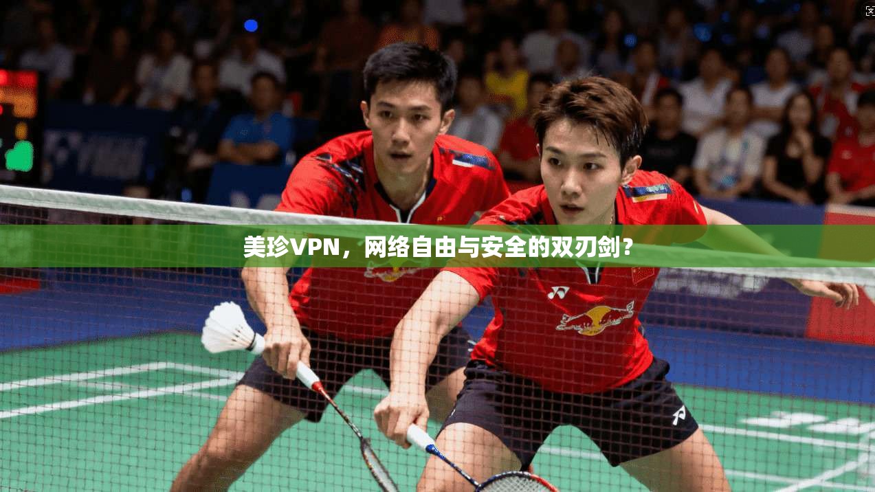 美珍VPN，网络自由与安全的双刃剑？