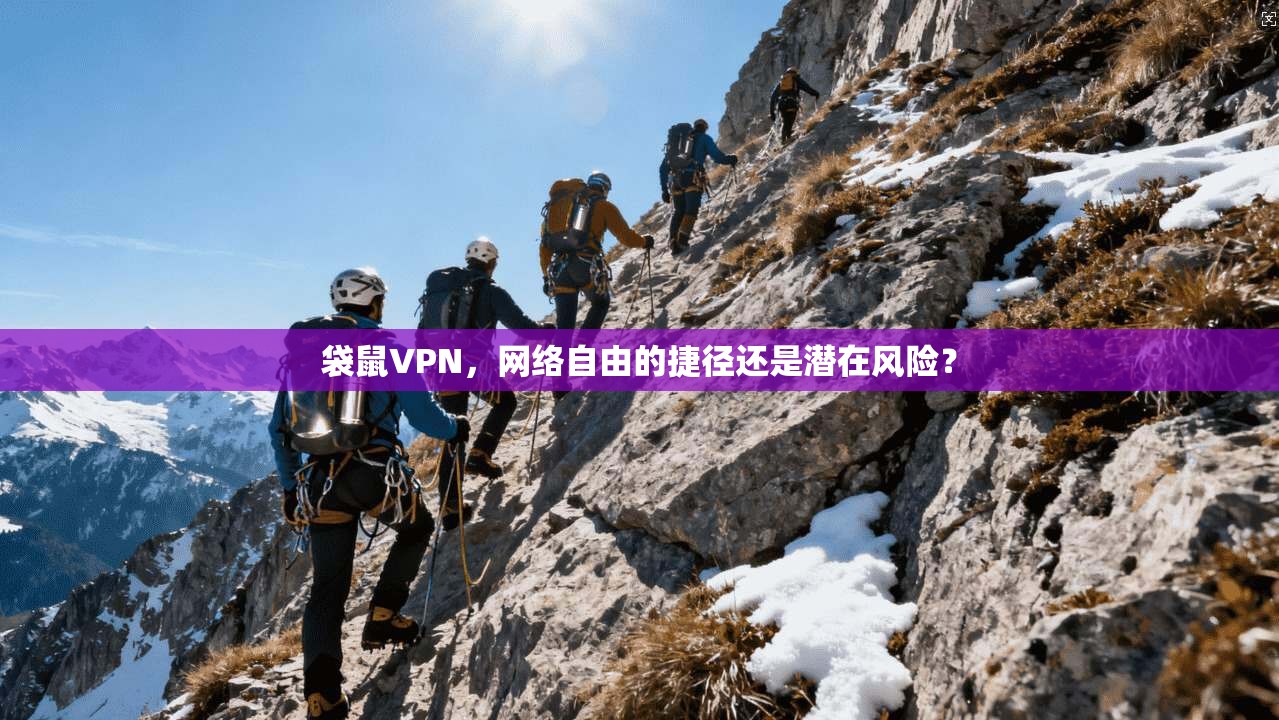 袋鼠VPN，网络自由的捷径还是潜在风险？