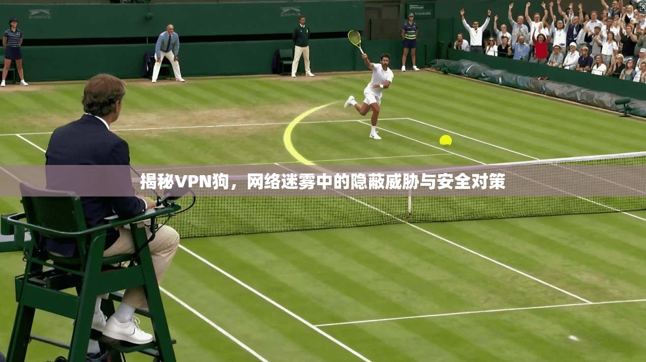 揭秘VPN狗，网络迷雾中的隐蔽威胁与安全对策