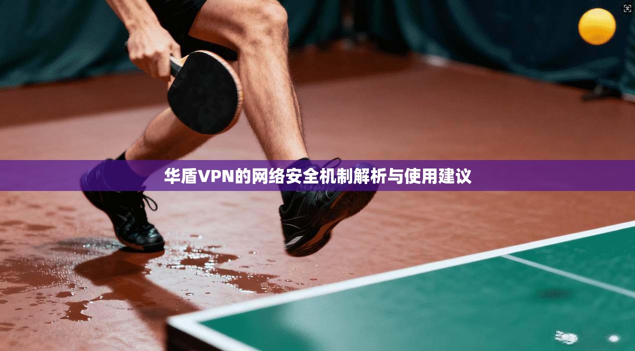 华盾VPN的网络安全机制解析与使用建议