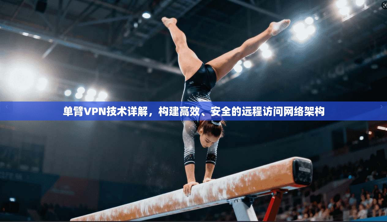 单臂VPN技术详解，构建高效、安全的远程访问网络架构