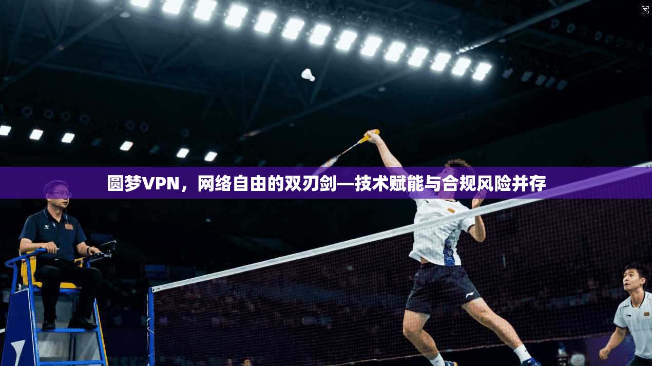 圆梦VPN，网络自由的双刃剑—技术赋能与合规风险并存