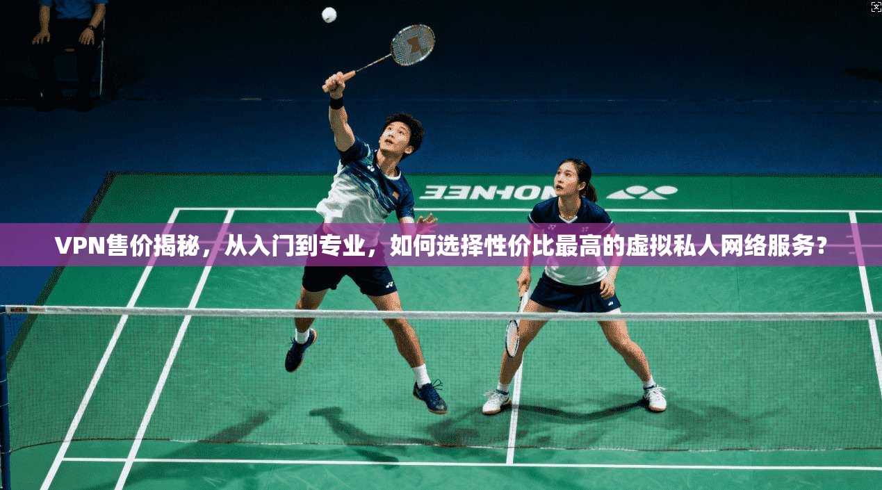 VPN售价揭秘，从入门到专业，如何选择性价比最高的虚拟私人网络服务？