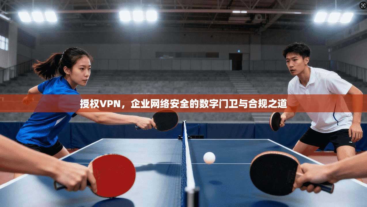 授权VPN，企业网络安全的数字门卫与合规之道