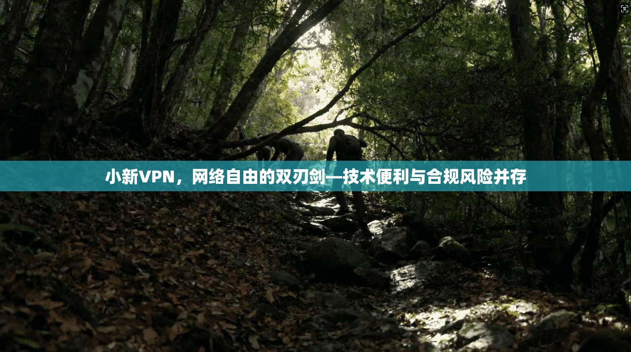 小新VPN，网络自由的双刃剑—技术便利与合规风险并存