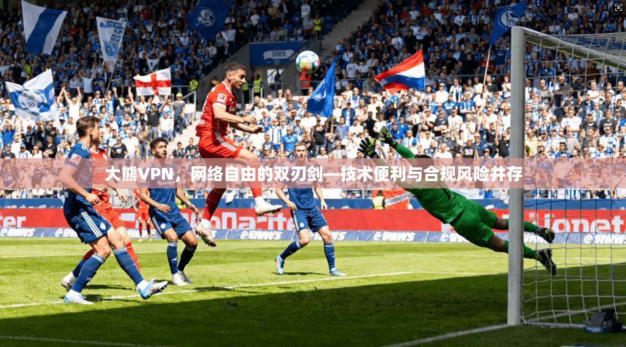 大熊VPN，网络自由的双刃剑—技术便利与合规风险并存