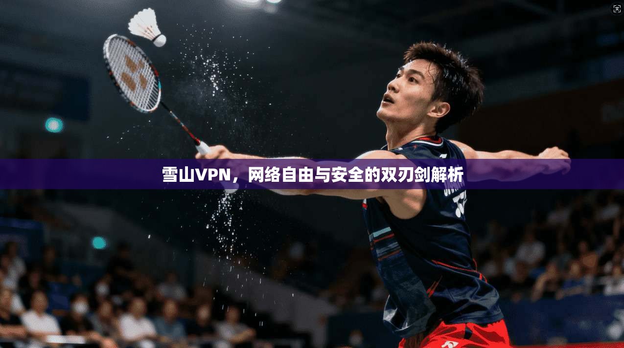 雪山VPN，网络自由与安全的双刃剑解析