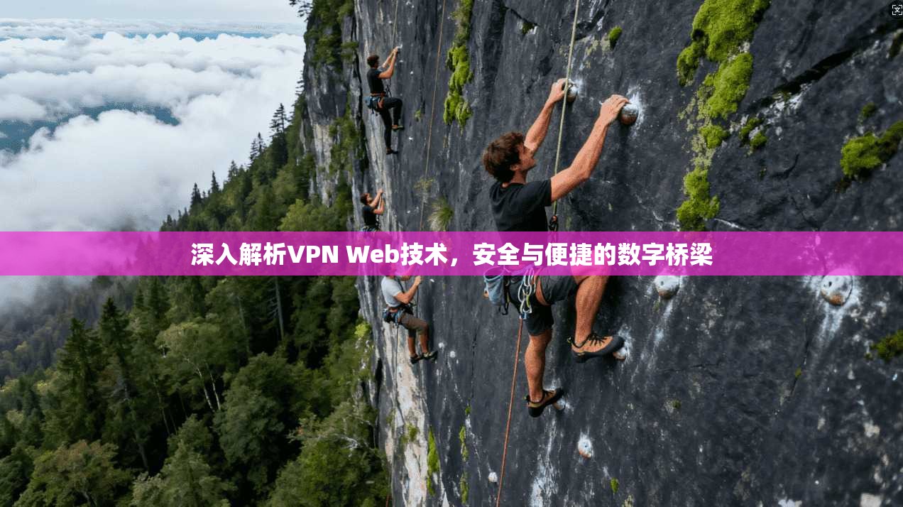 深入解析VPN Web技术，安全与便捷的数字桥梁