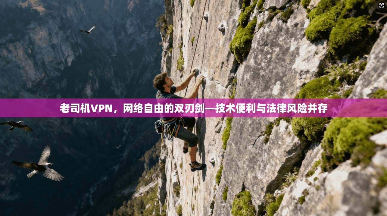 老司机VPN，网络自由的双刃剑—技术便利与法律风险并存