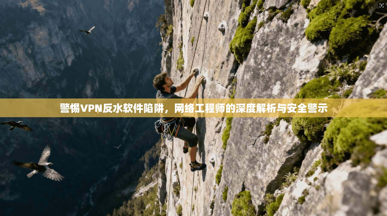 警惕VPN反水软件陷阱，网络工程师的深度解析与安全警示