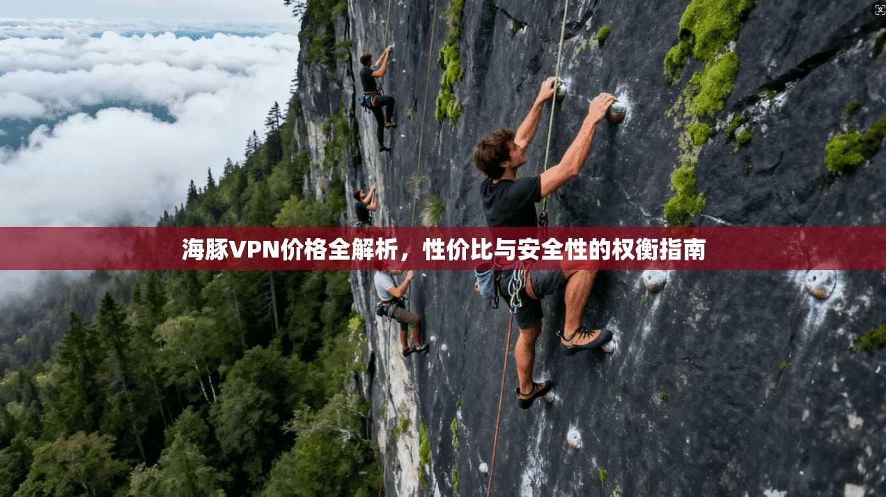 海豚VPN价格全解析，性价比与安全性的权衡指南