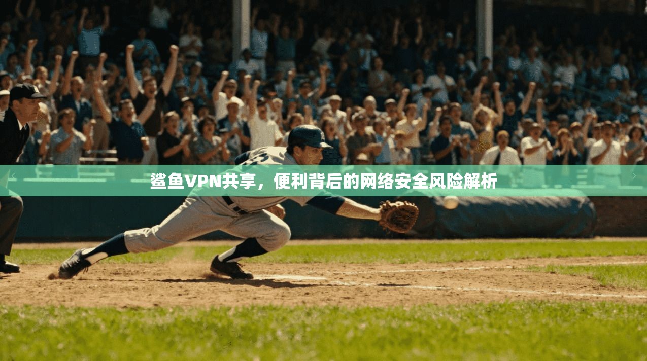 鲨鱼VPN共享，便利背后的网络安全风险解析
