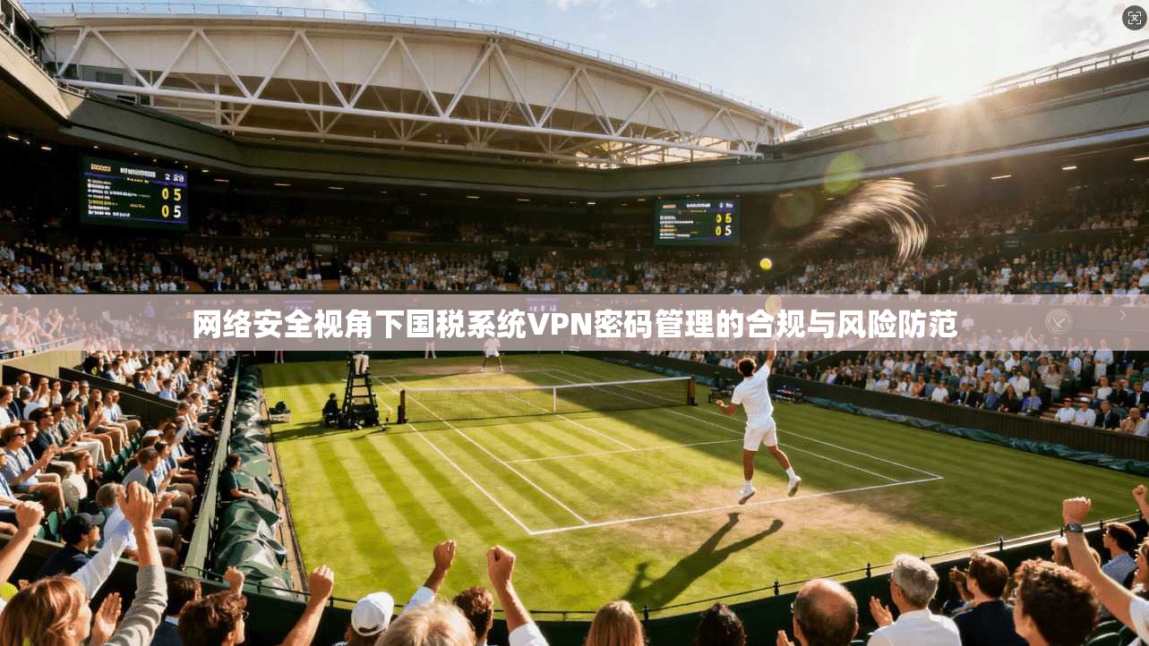 网络安全视角下国税系统VPN密码管理的合规与风险防范
