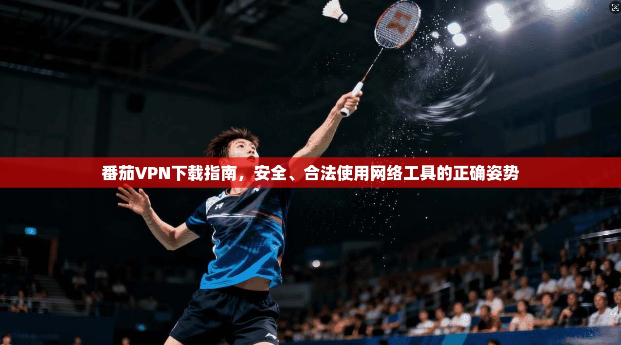 番茄VPN下载指南，安全、合法使用网络工具的正确姿势