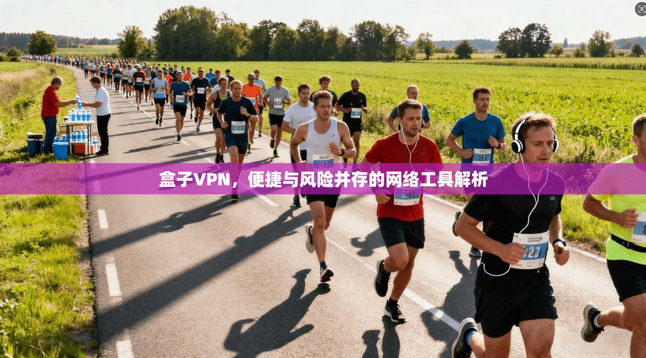 盒子VPN，便捷与风险并存的网络工具解析