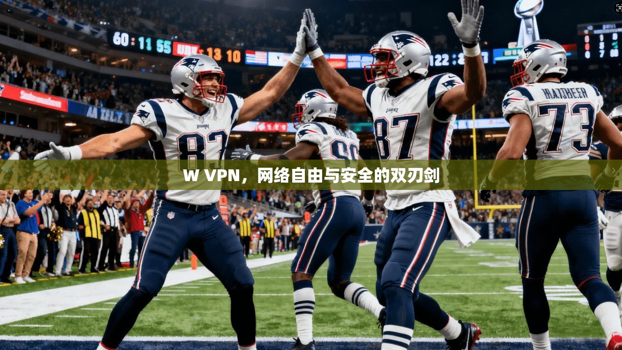 W VPN，网络自由与安全的双刃剑