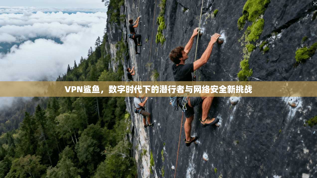 VPN鲨鱼，数字时代下的潜行者与网络安全新挑战