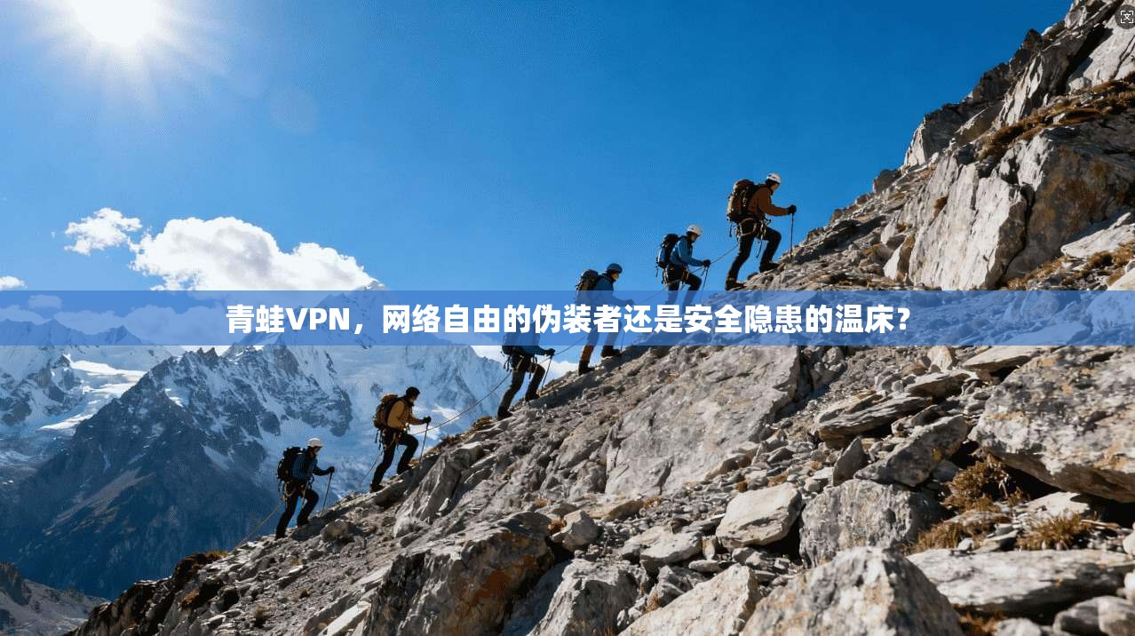青蛙VPN，网络自由的伪装者还是安全隐患的温床？