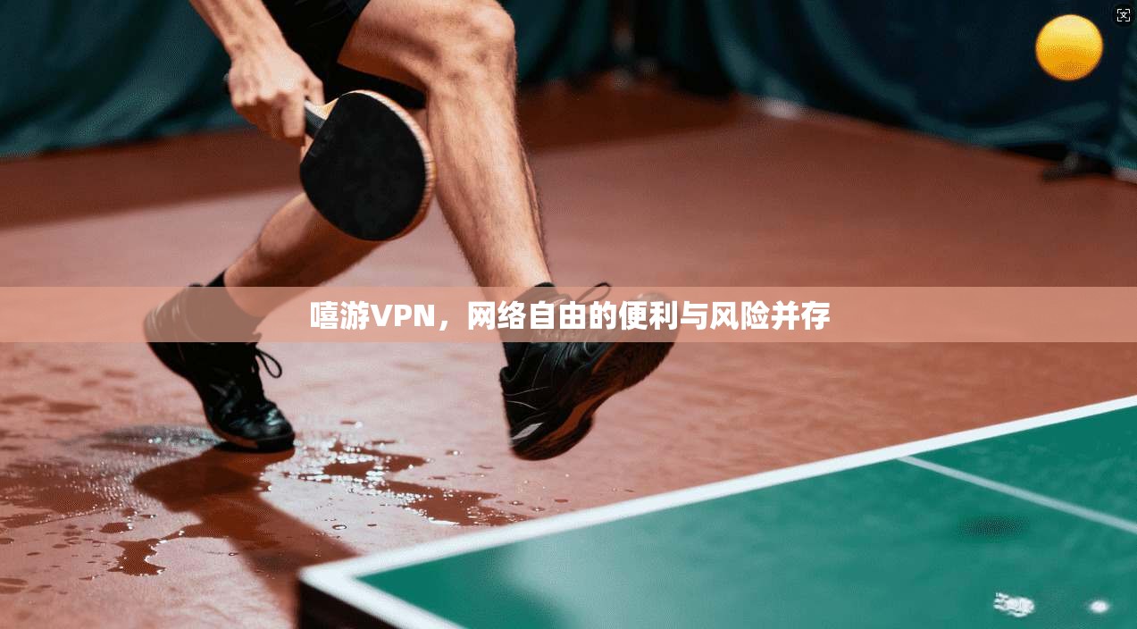 嘻游VPN，网络自由的便利与风险并存