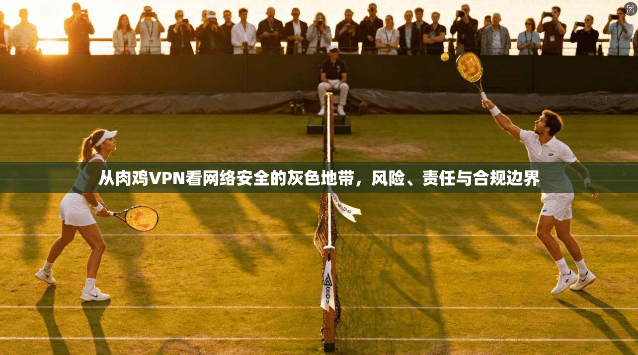 从肉鸡VPN看网络安全的灰色地带，风险、责任与合规边界