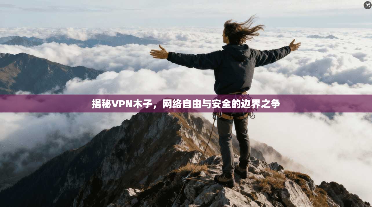 揭秘VPN木子，网络自由与安全的边界之争