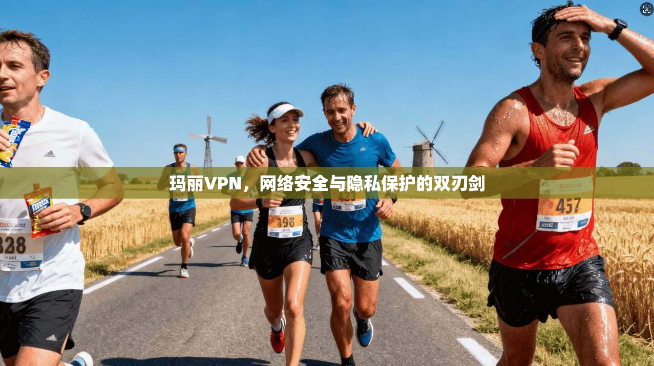 玛丽VPN，网络安全与隐私保护的双刃剑