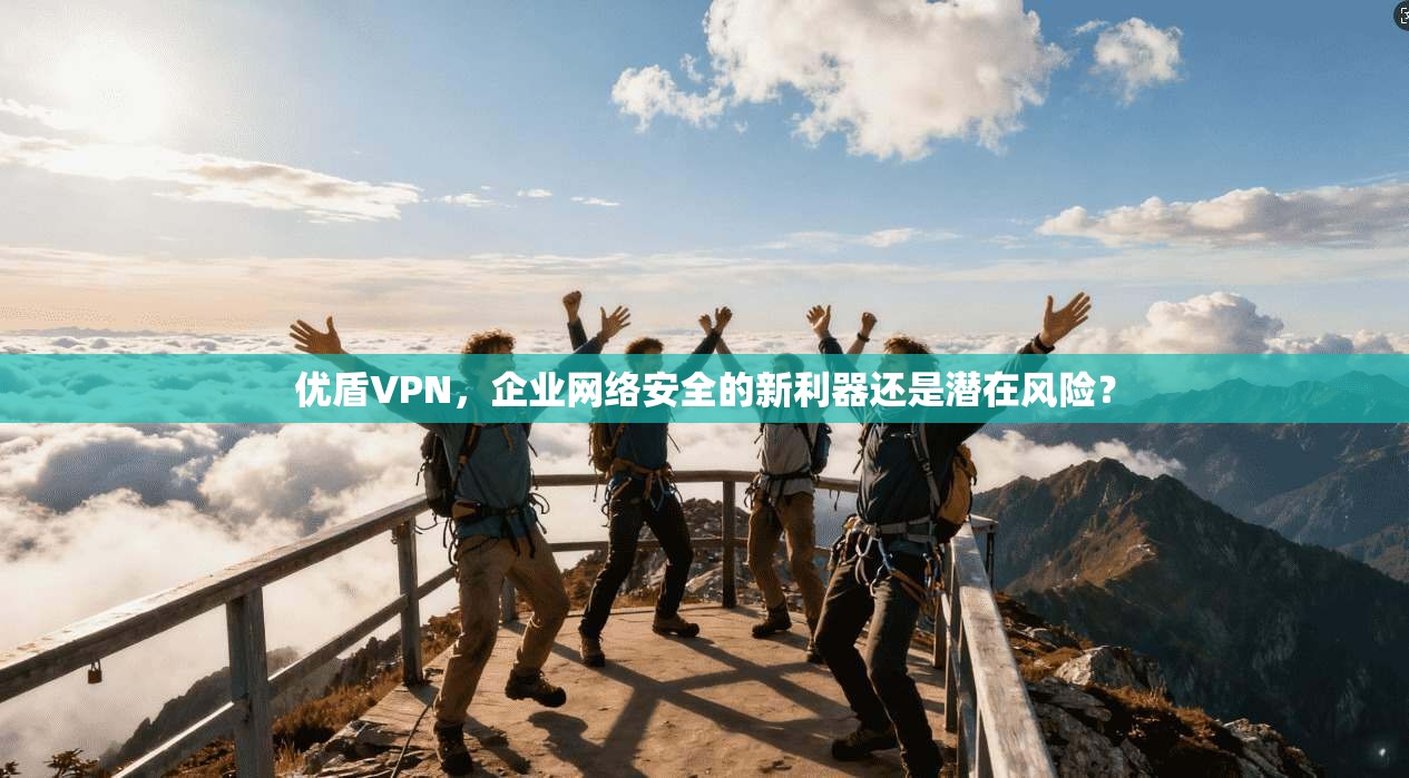 优盾VPN，企业网络安全的新利器还是潜在风险？