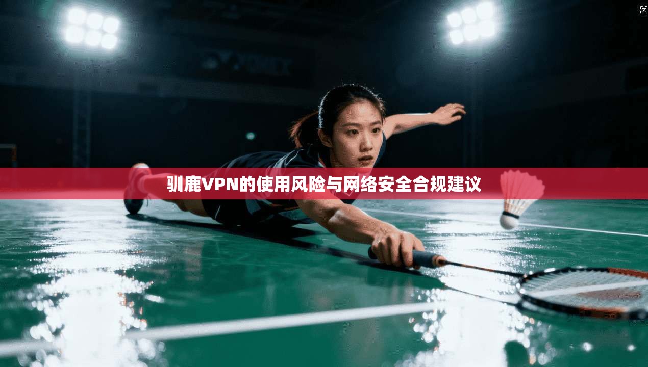 驯鹿VPN的使用风险与网络安全合规建议