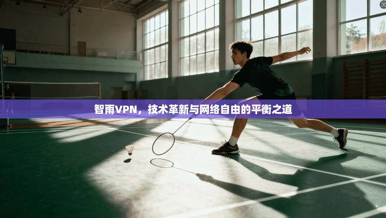 智雨VPN，技术革新与网络自由的平衡之道