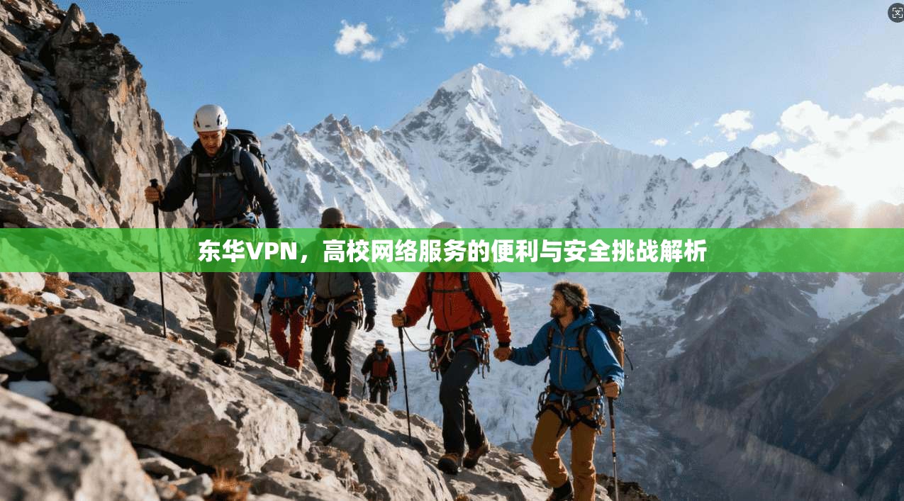 东华VPN，高校网络服务的便利与安全挑战解析