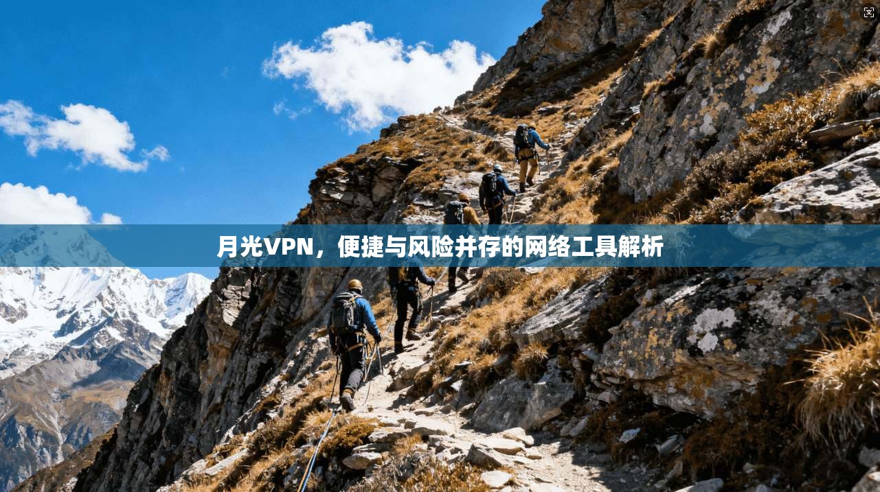 月光VPN，便捷与风险并存的网络工具解析
