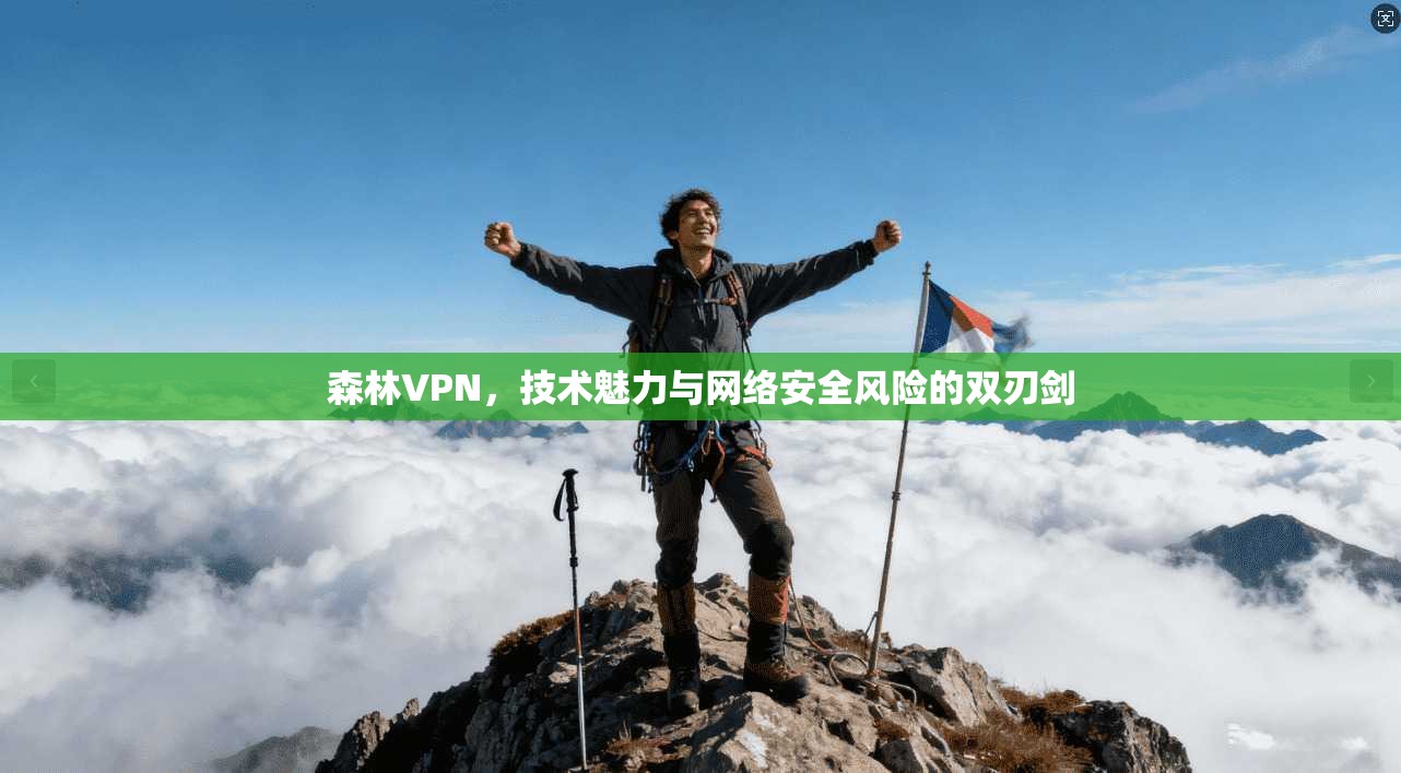 森林VPN，技术魅力与网络安全风险的双刃剑