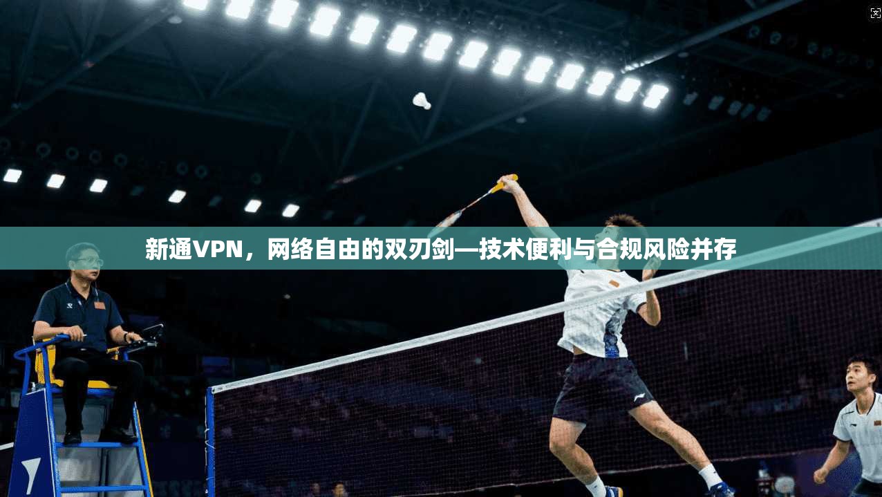 新通VPN，网络自由的双刃剑—技术便利与合规风险并存