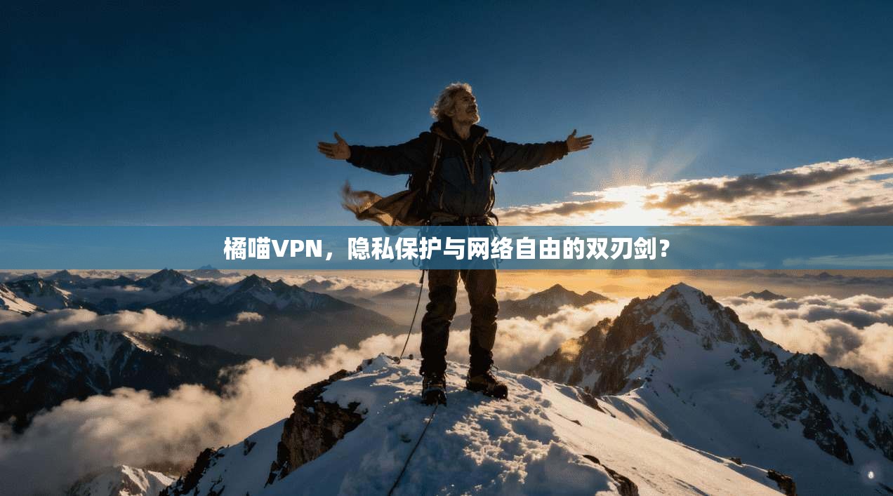 橘喵VPN，隐私保护与网络自由的双刃剑？