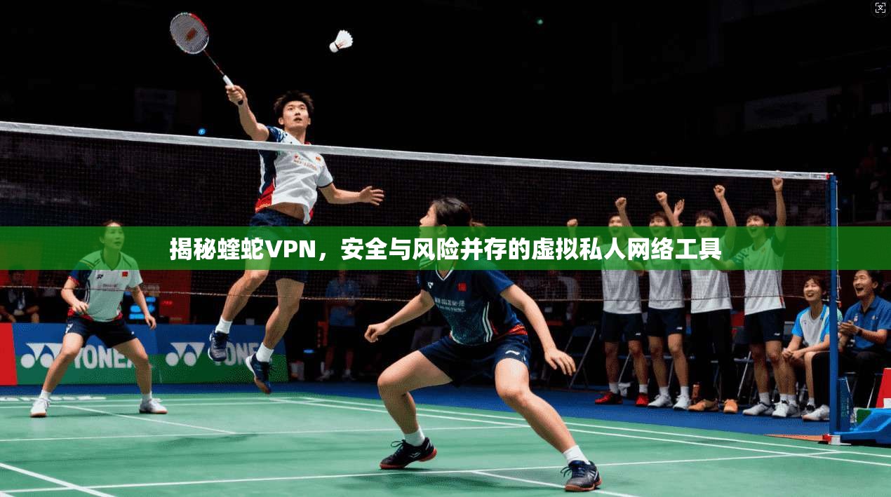 揭秘蝰蛇VPN，安全与风险并存的虚拟私人网络工具