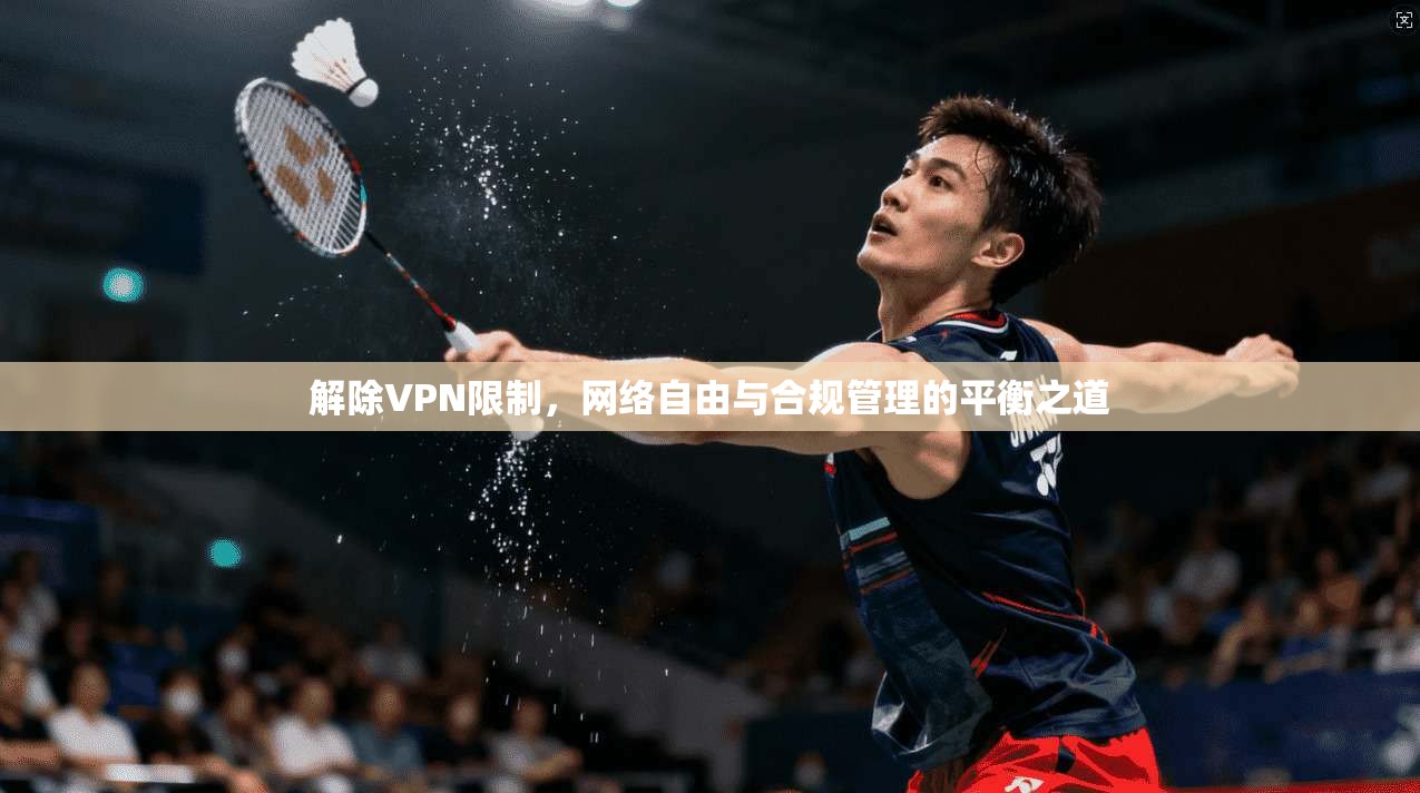 解除VPN限制，网络自由与合规管理的平衡之道