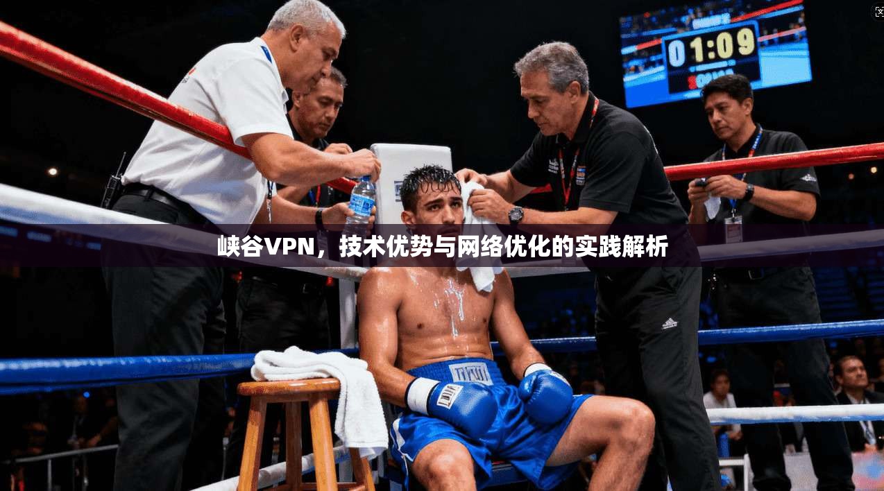 峡谷VPN，技术优势与网络优化的实践解析