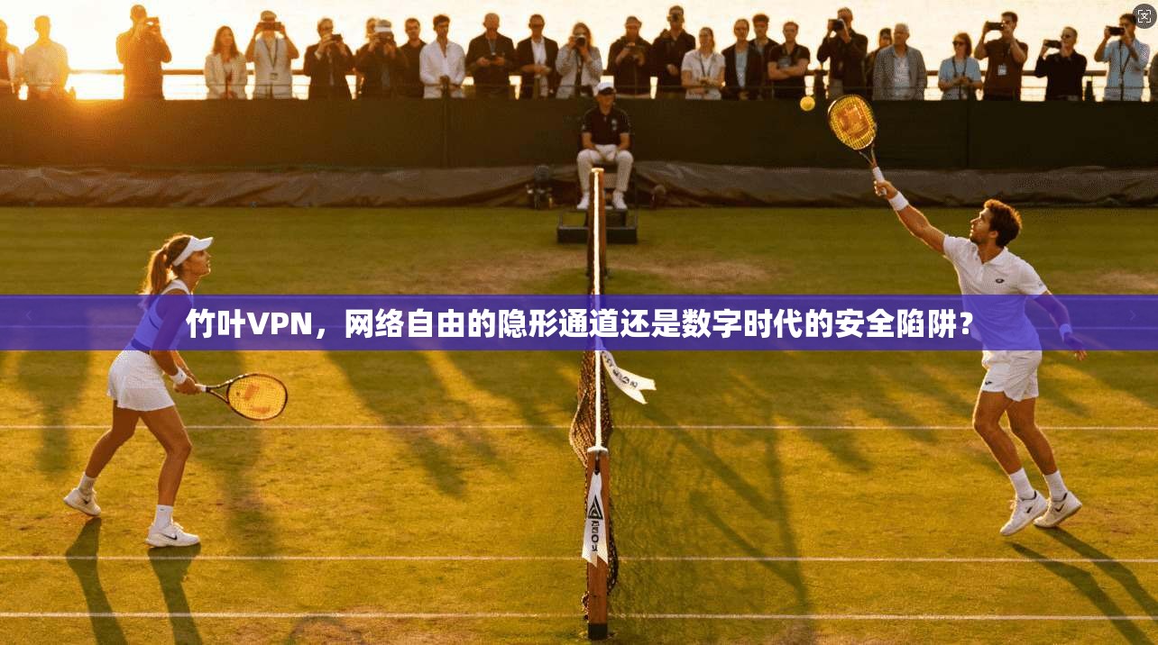 竹叶VPN，网络自由的隐形通道还是数字时代的安全陷阱？