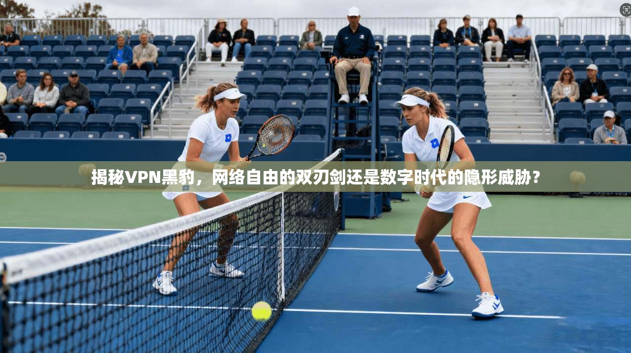 揭秘VPN黑豹，网络自由的双刃剑还是数字时代的隐形威胁？