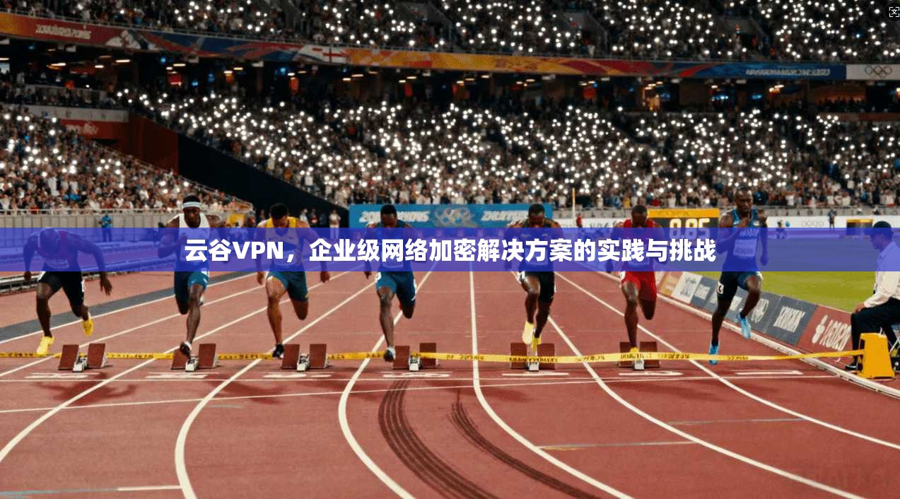 云谷VPN，企业级网络加密解决方案的实践与挑战