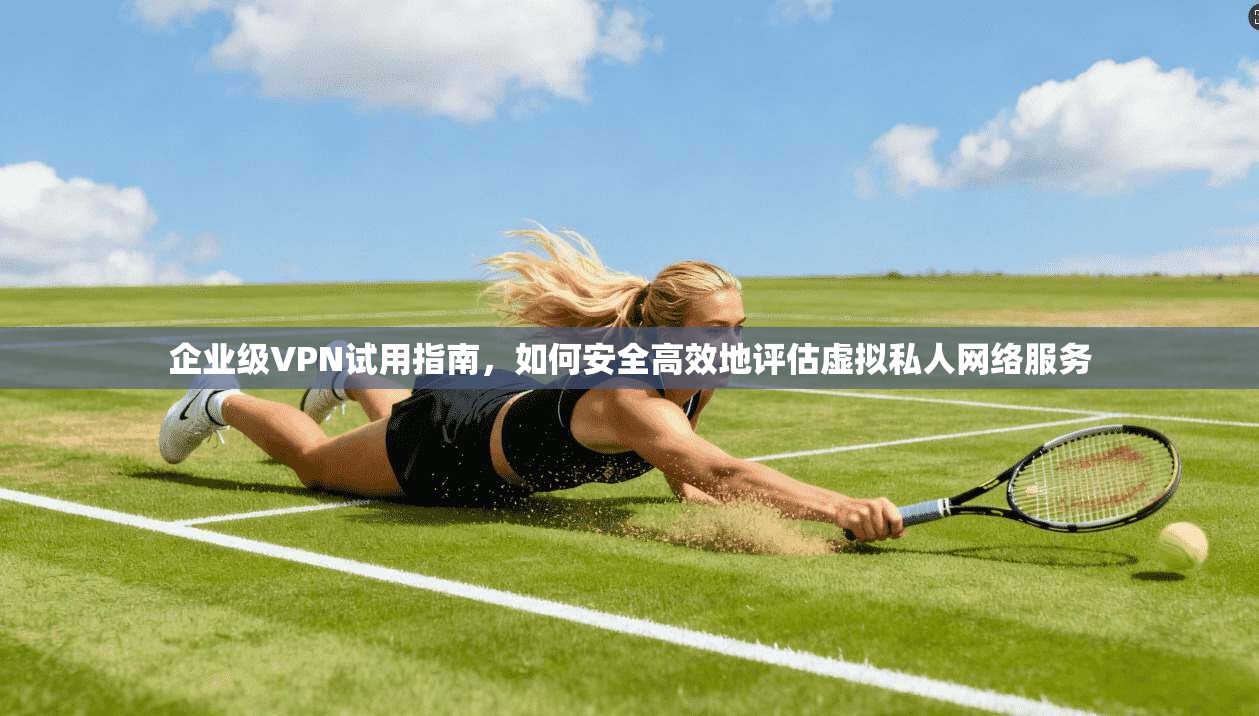 企业级VPN试用指南，如何安全高效地评估虚拟私人网络服务